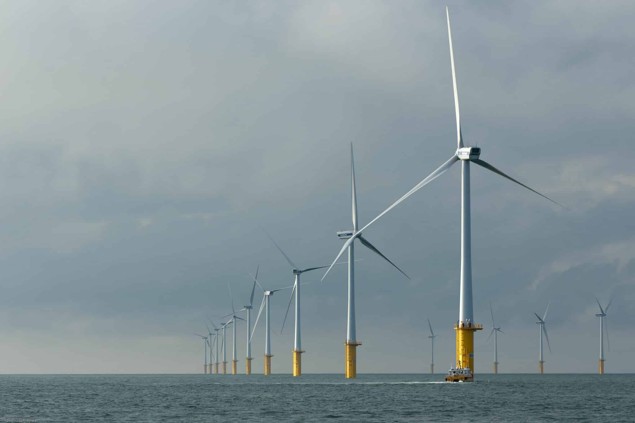 JERA and bp launch offshore wind joint venture JERA Nex bp